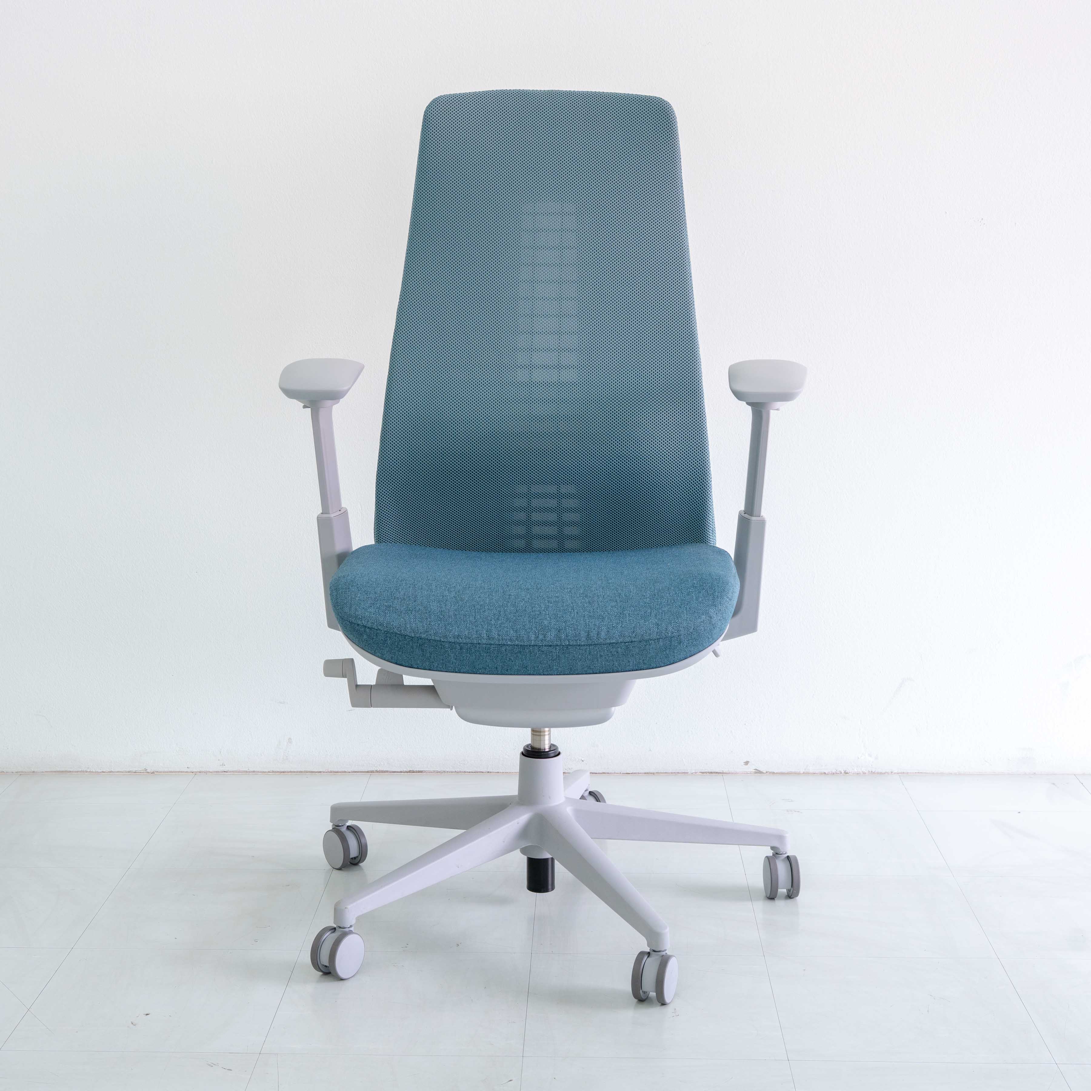 Haworth Fern Chair – Cornflower | Platinum Frame