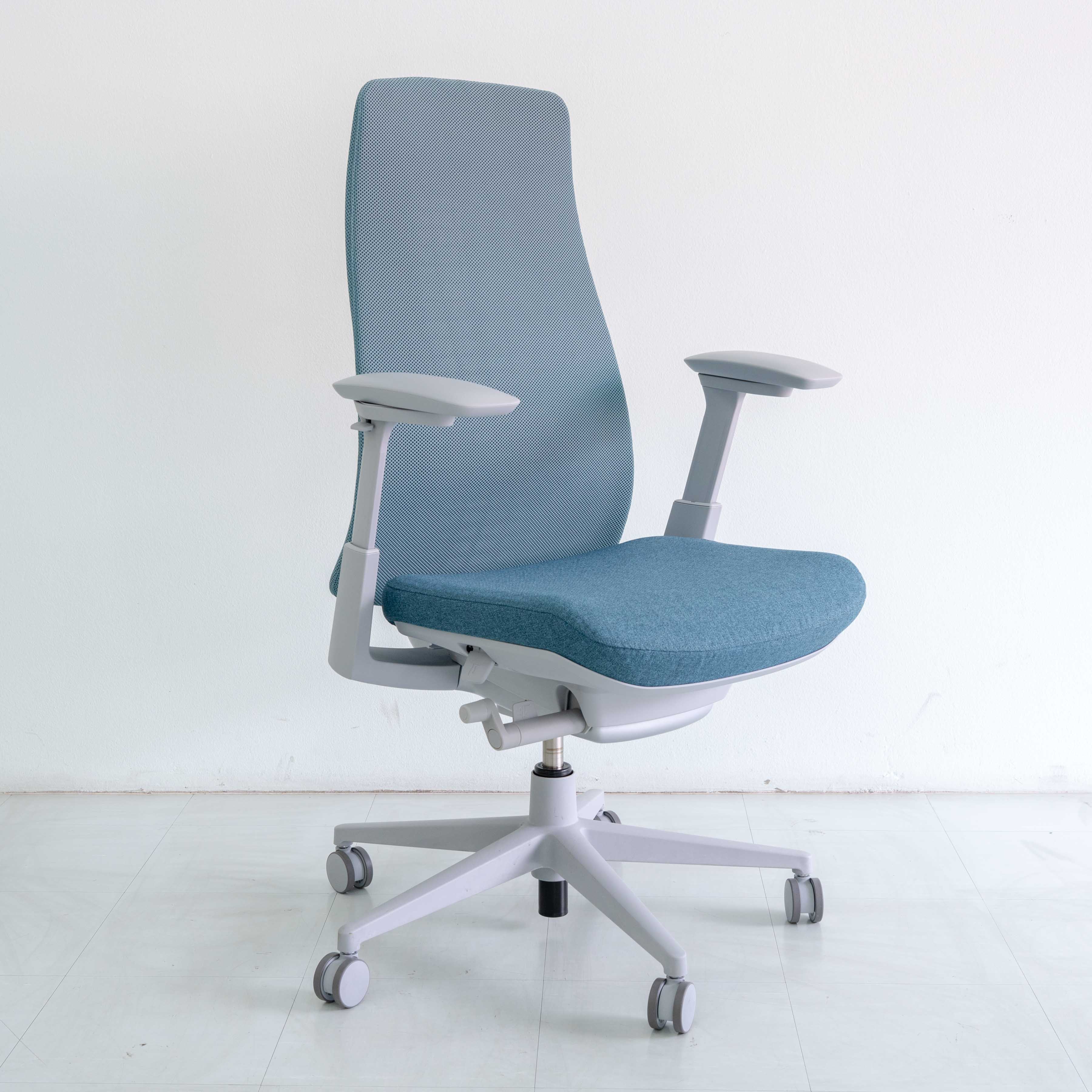 Haworth Fern Chair – Cornflower | Platinum Frame