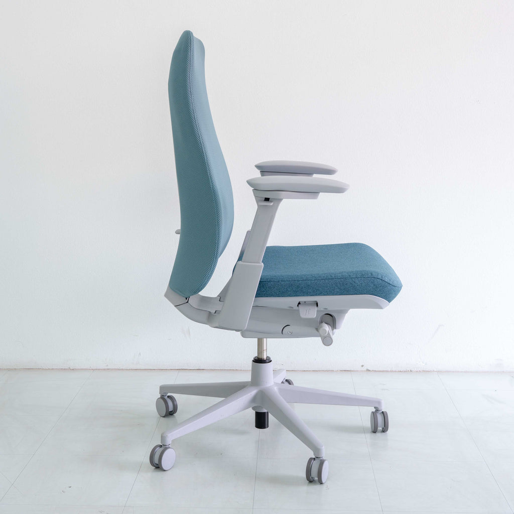 Haworth Fern Chair – Cornflower | Platinum Frame