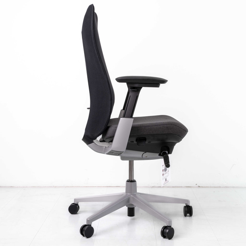Haworth Fern Chair – Black | Platinum Frame