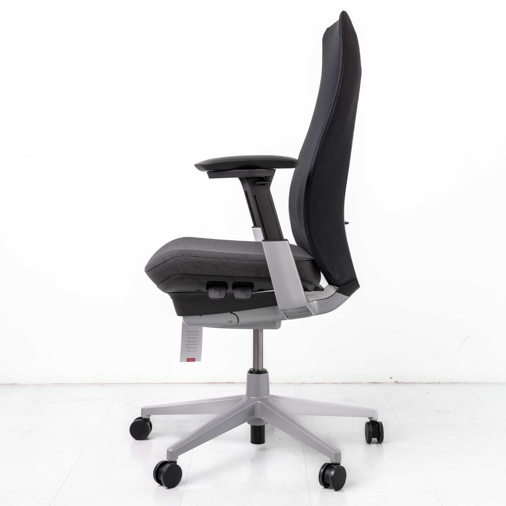 Haworth Fern Chair – Black | Platinum Frame