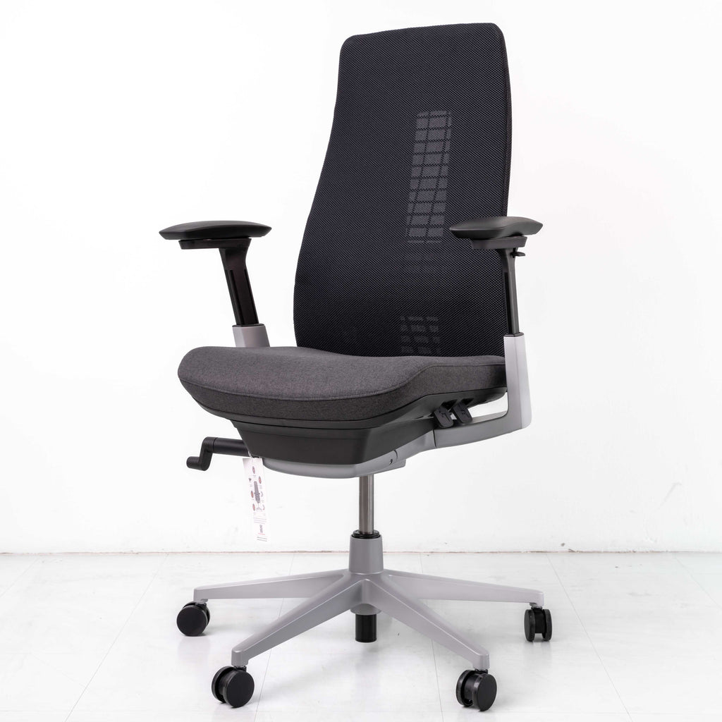 Haworth Fern Chair – Black | Platinum Frame